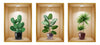 Self-Adhesive 3D Plant Wall Stickers